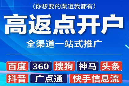 某电商平台的SEM广告投放全流程解析
